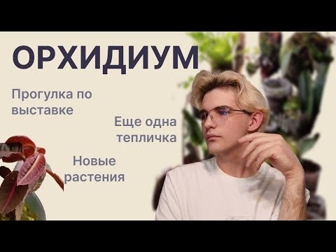 Видео: Что скрывает ОРХИДИУМ? / Мои невероятные находки и обустройство нового зелёного пространства