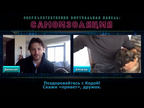 Видео: Джаред, Дженсен и суперсилы