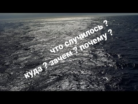 Видео: У нас такое произошло!!!!!