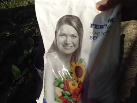 Видео: обзор табака после первой подкормки! вторая подкормка табака!