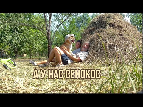 Видео: Сенокос и шашлыки #переездвсербию #жизньзаграницей #покупканедвижимости #жизньвсербии #ремонт