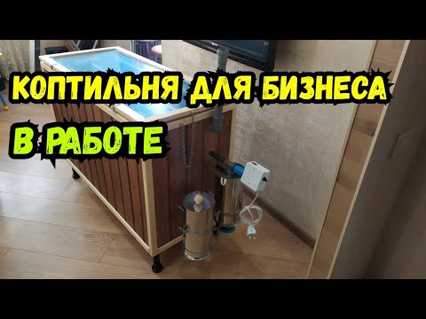 Видео: Холодное копчение курицы! Много и быстро! Электростатическая коптильня для бизнеса!