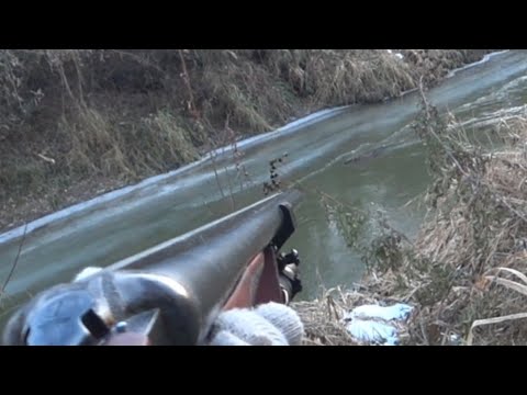 Видео: ОХОТА НА БОБРА С РУЖЬЕМ. ВСЕ ЗАМЕРЗЛО. ТАЕЖНАЯ РЕЧКА. КАРТЕЧЬ 6.2