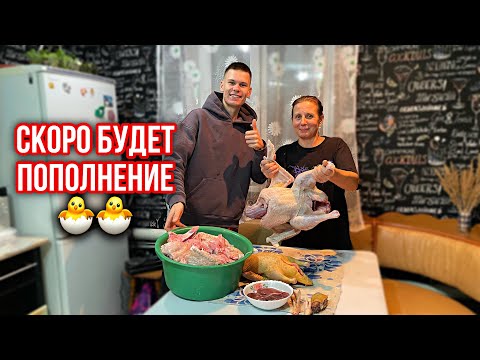 Видео: Жизнь в деревне ! Как проходит день в деревне 🏡 Готовимся к ЗИМЕ ❄️ Заработок в деревне 🐥