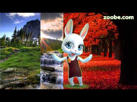 Видео: Zoobe Зайка Выбирать чудо, Нюша