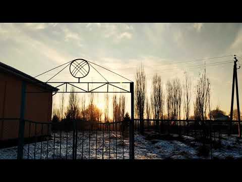 Видео: Нарын районунун Жан-Булак айылы
