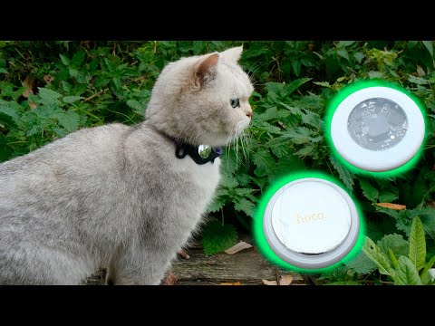 Видео: Муся не поняла что происходит😲 Smart GPS-трекер HOCO E91C. Моя кошка в безопасности!