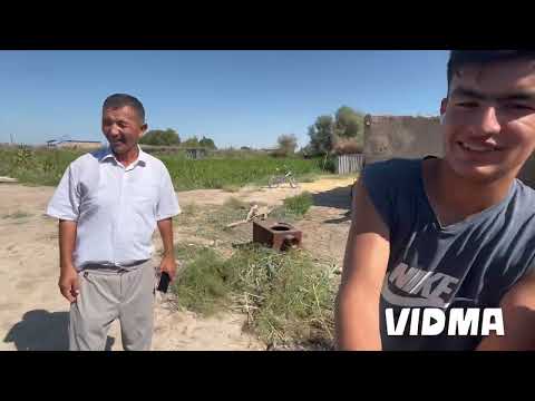 Видео: Хожелі ташкент совхоз ауылым