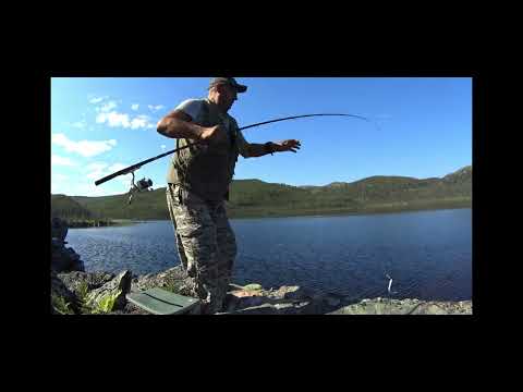 Видео: Северная рыбалка