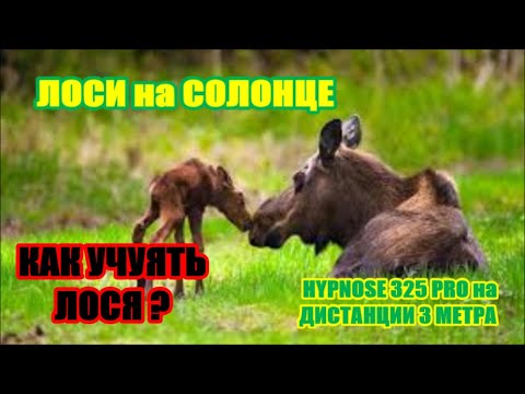 Видео: ВСТРЕЧА на СОЛОНЦЕ