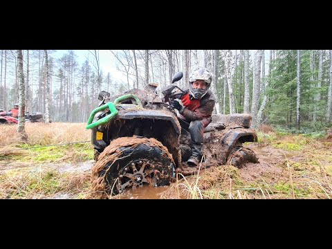 Видео: КВАДРО-ЖЕСТЬ на ковровом болоте!