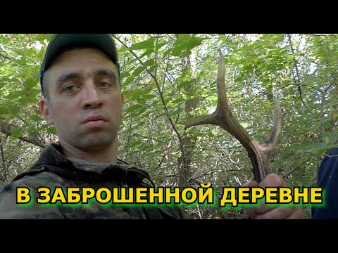 Видео: Металлоискатель в действии Что мы нашли в глуши?