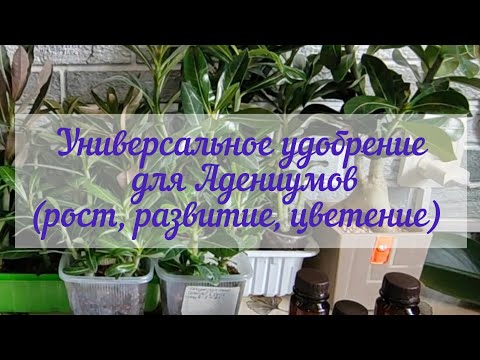 Видео: Универсальные удобрения для Адениумов, способствующие правильному развитию, росту и цветению
