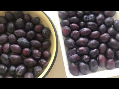 Видео: Маринованные сливы. Закусочные. Супер рецепт.