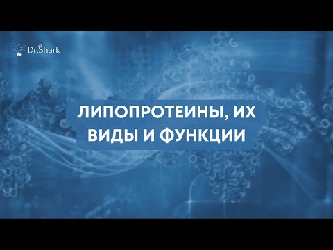 Видео: Липопротеины, их виды и функции. Биохимия обмена липидов. Важнейшая тема простым языком!