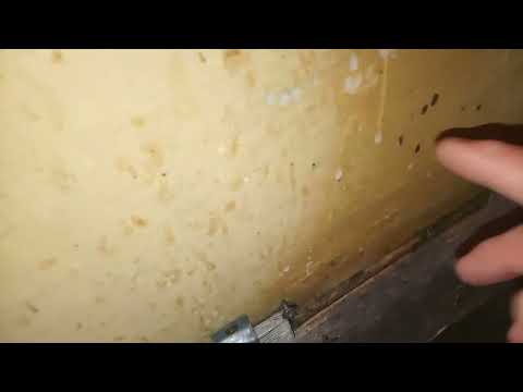 Видео: Каждый решает сам .