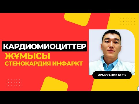 Видео: Кардиомиоциттер жұмысы | стенокардия | инфакт миокард