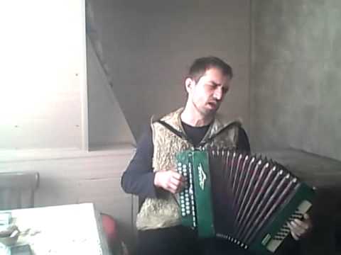 Видео: Романс "Ах, зачем эта ночь так была хороша" под гармонь