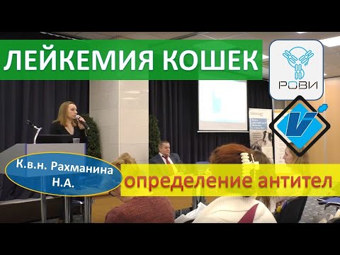 Видео: Определение титра антител к вирусу лейкемии кошек (Н.А. Рахманина)
