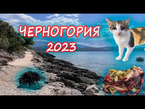 Видео: Черногория/Montenegro. Баошичи и не только. Отпуск 2023.