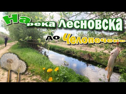 Видео: Риболов на спининг на река Лесновска до кв.Челопечене.София.
