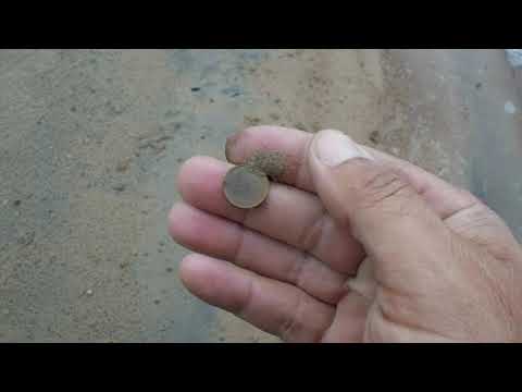 Видео: Поиск на пляже,где всегда есть находки!!!