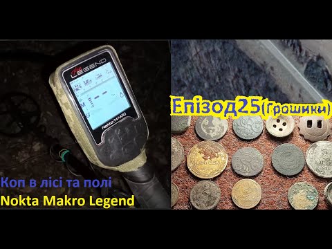 Видео: Коп в лісі і полі по старих дорогах. З Nokta Makro Legend. Епізод 25 (Грошики)