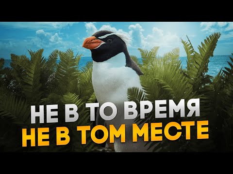 Видео: Животные в странных местах обитания