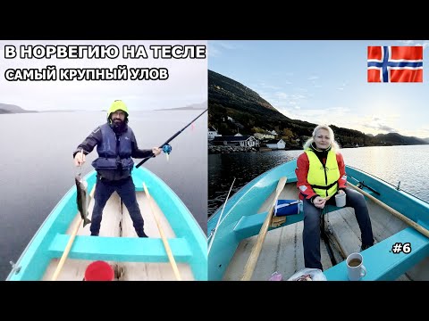 Видео: В Норвегию на Тесле на рыбалку. Поймали самую большую рыбу в нашей жизни. Завтрак в лодке. #6