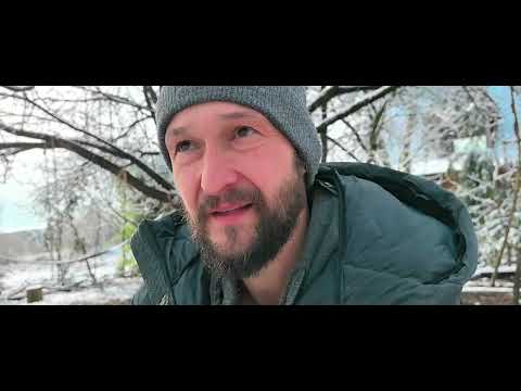 Видео: Непирофитные влаголюбивые кипарисовые - сциадопитис, куннингамия и редкие туи