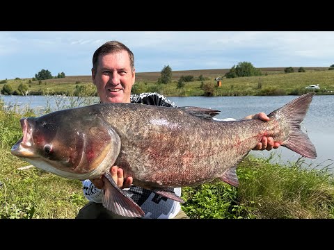 Видео: Из коряг вытащил МОНСТРА Толстолобика на 16,500 кг!