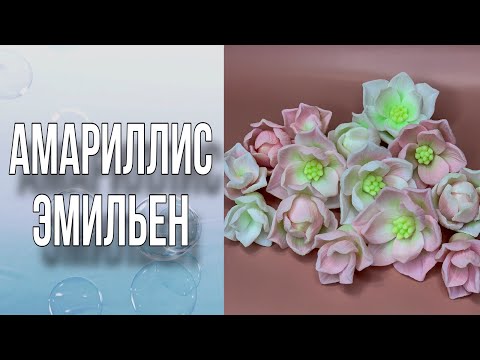 Видео: Амариллис Эмильен/Как сделать велюровые цветы/Заливка и тонировка/Мыловарение