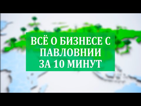 Видео: Всё о Бизнесе с Павловнии за 10 минут