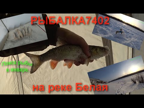 Видео: Рыбалка на реке Белая без разведки в январе!