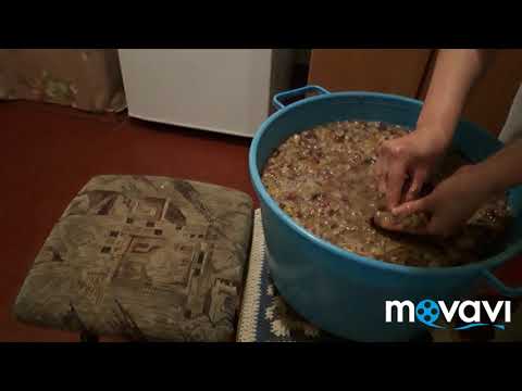 Видео: Второе вино # вино из вторяков # вино из жмыха