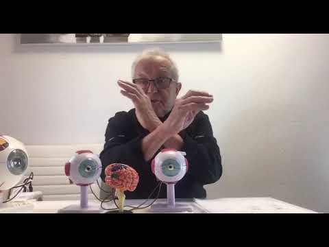 Видео: Компьютерный зрительный синдром. Часть 3. Stellest 