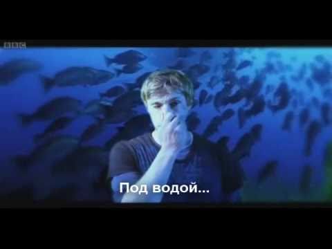 Видео: Квесты для Колина и Бредли - 3