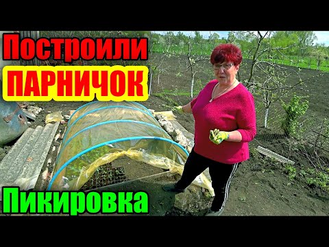 Видео: Пикируем рассаду овощей в новый парничок! Как быстро сделать парник?