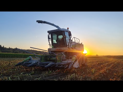 Видео: ВЕТЕР ПЕРЕМЕН...РЕМОНТ В ПОЛЕ. КУКУРУЗЕ НЕТ И КРАЯ😱