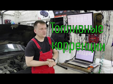 Видео: Топливные коррекции на блоках Январь 7.2 и Бош 797.
