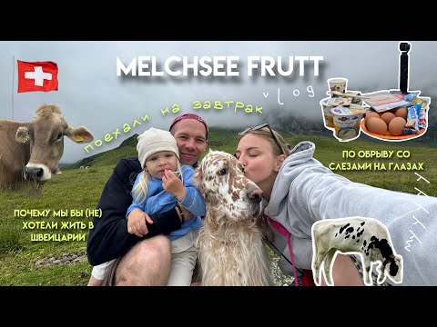 Видео: 37. На завтрак в горы | Melchsee Frutt, Швейцария