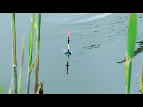 Видео: Пасхальный карась на поплавочную удочку. Ловля карася на поплавок в конце апреля. Как поймать карася