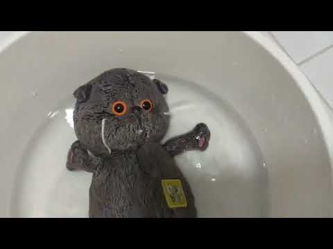 Видео: Мою Барни Дога и Миласика!