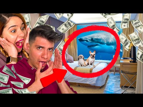 Видео: ПРЕКАРВАМЕ 24 ЧАСА В НАЙ-СКЪПИЯ ХОТЕЛ !!!