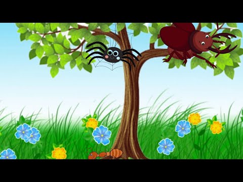 Видео: Дидактичні ігри "Визнач та скажи, де комаха", "Хто зайвий". Дітям про комах.