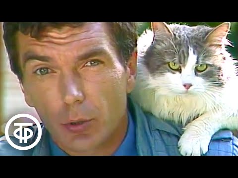 Видео: Утренняя почта № 78. Кошки (1986)