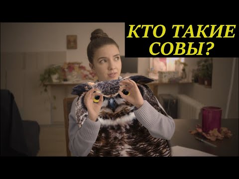 Видео: О ЧЁМ НА САМОМ ДЕЛЕ ТВИН ПИКС? ЧАСТЬ 2: СОВЫ