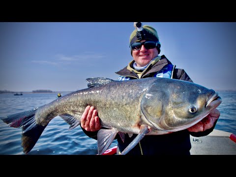 Видео: ЧЕРКАССЫ РАЗДАЮТ МОНСТРОВ!!!