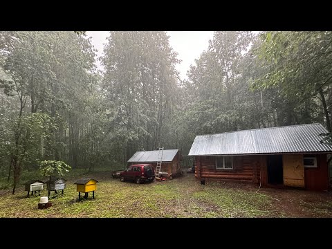 Видео: ЧЕТЫРЕ ДНЯ ЖИВЕМ В ЛЕСНОЙ ИЗБЕ! БУРИМ СКВАЖИНУ.