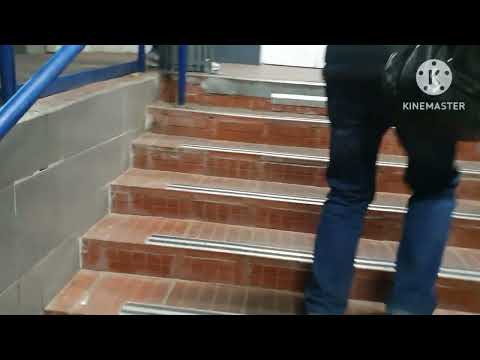 Видео: Сорвалась на ребёнке 🙄 Суп с белыми грибами